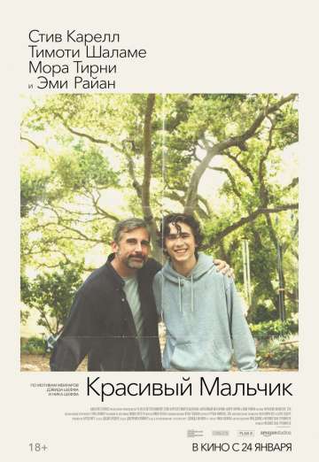 Красивый мальчик / Beautiful Boy (2018) Красивый мальчик / Beautiful Boy (2018)