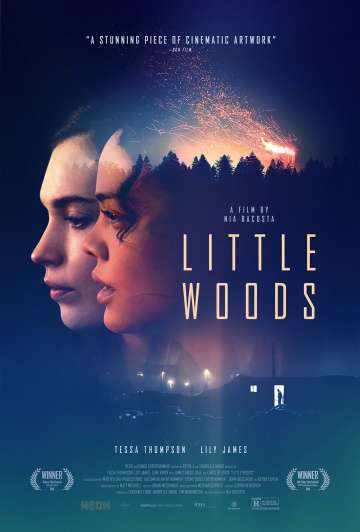 Лесок / Little Woods (2018) Лесок / Little Woods (2018)