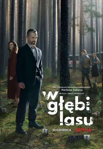 В густом лесу / W głębi lasu (2020) В густом лесу / W głębi lasu (2020)