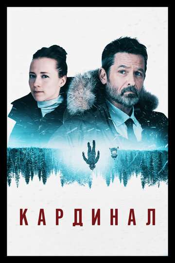 Кардинал / Cardinal Кардинал / Cardinal