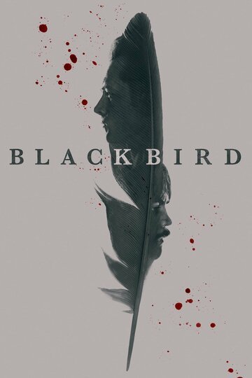 Чёрная птица / Black Bird (2022)