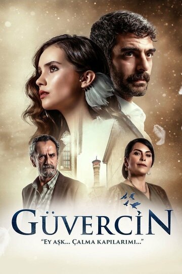 Голубка / Guvercin (2019)