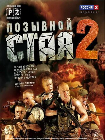 Позывной «Стая» (2013)
