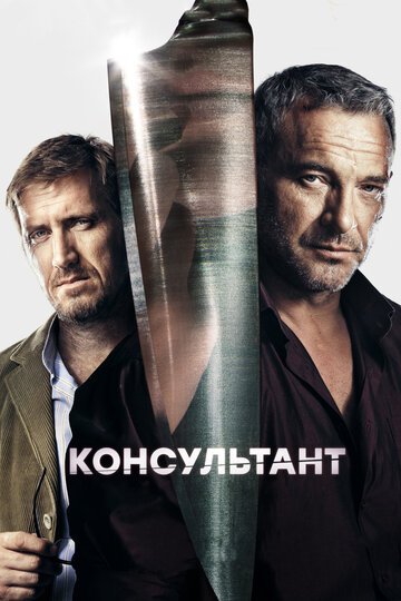 Консультант (2016-2018)