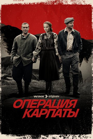 Операция «Карпаты» (2024)